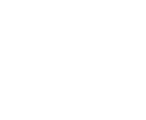 Logo DL-3-white